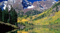 White Bells forests National