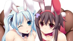 White blue hair anime girls pantyhose animal ears cleavage 