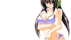 White blush long hair anime girls blue eyes infinite stratos 