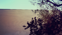 White Bricks sky tree