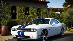 White cars Dodge Challenger Racing Stripes muscle cars