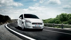 White cars Fiat 2008