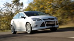 White cars ford focus