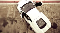 White cars Lamborghini