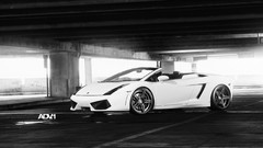 White cars lamborghini gallardo