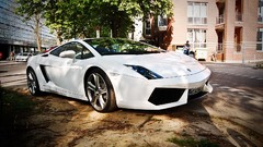 White cars Lamborghini gallardo LP570-4 Lamborghini Gallardo 