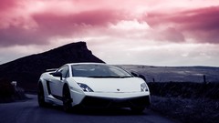 White cars Lamborghini lamborghini gallardo white cars 