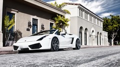 White cars Lamborghini vehicles