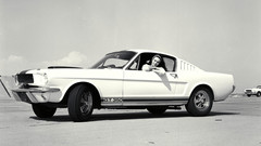 White cars monochrome Ford