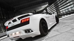 White cars performance lamborghini gallardo