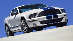 White cars production ford mustang shelby gt500 Ford Shelby