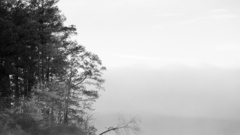 White desolate nature