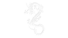 White Dragons minimalistic