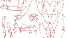 White drawings tutorials