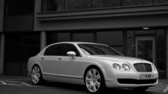 White flying cars project