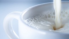 White food milk fruits