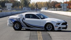 White Ford back front cobra stripes Ford mustang concept cars 