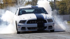 White Ford back front cobra stripes Ford mustang concept cars 