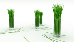 White glass Green grass