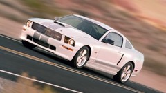 White GT muscle cars Ford Shelby