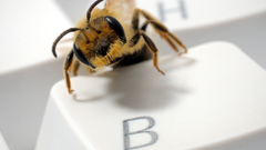 White insects keyboards macro