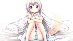 White long hair anime girls animal ears purple eyes tails 