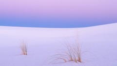 White new mexico tranquility