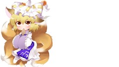 White Photoshop blondes long hair touhou animal ears yakumo ran 