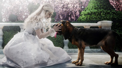 White queen and bayard