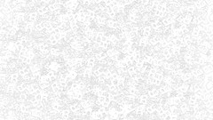 White rockstar games logos