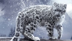 White snow leopards irbis