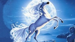 White unicorns Horses