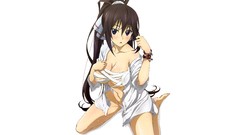White wet blush brunettes bandages infinite stratos shinonono 