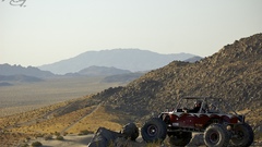 Whitebro outlook big high