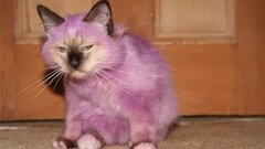 Who? all saved them kidding kuddos