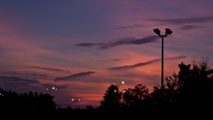 Whoops forgot mah trip