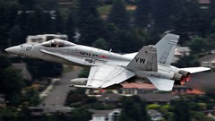 Widescreen airplanes f-18 hornet