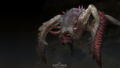 Widescreen game The witcher