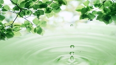 Widescreen nature water drops