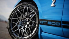 Widescreen Shelby shelby gt500 Ford Shelby Shelby GT500 2013