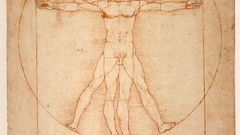 Wikipedia org uomo upload wikimedia commons vitruviano