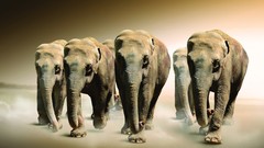 Wild elephants artwork fantasy art