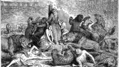 Wild The beasts christians flung