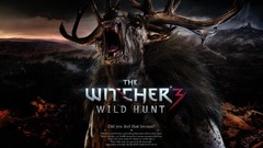 Wild the witcher hunt the witcher 3 wild hunt video games