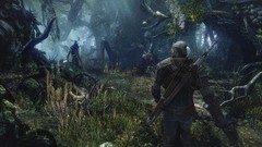 Wild the witcher hunt the witcher 3 wild hunt video games 