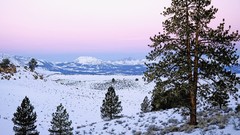 Wildlife Earth nature winter