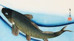 Wildlife fish asians sealife