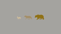 Wildlife minimalistic