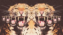 Wildlife Photo manipulation