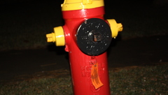 Will take high res img